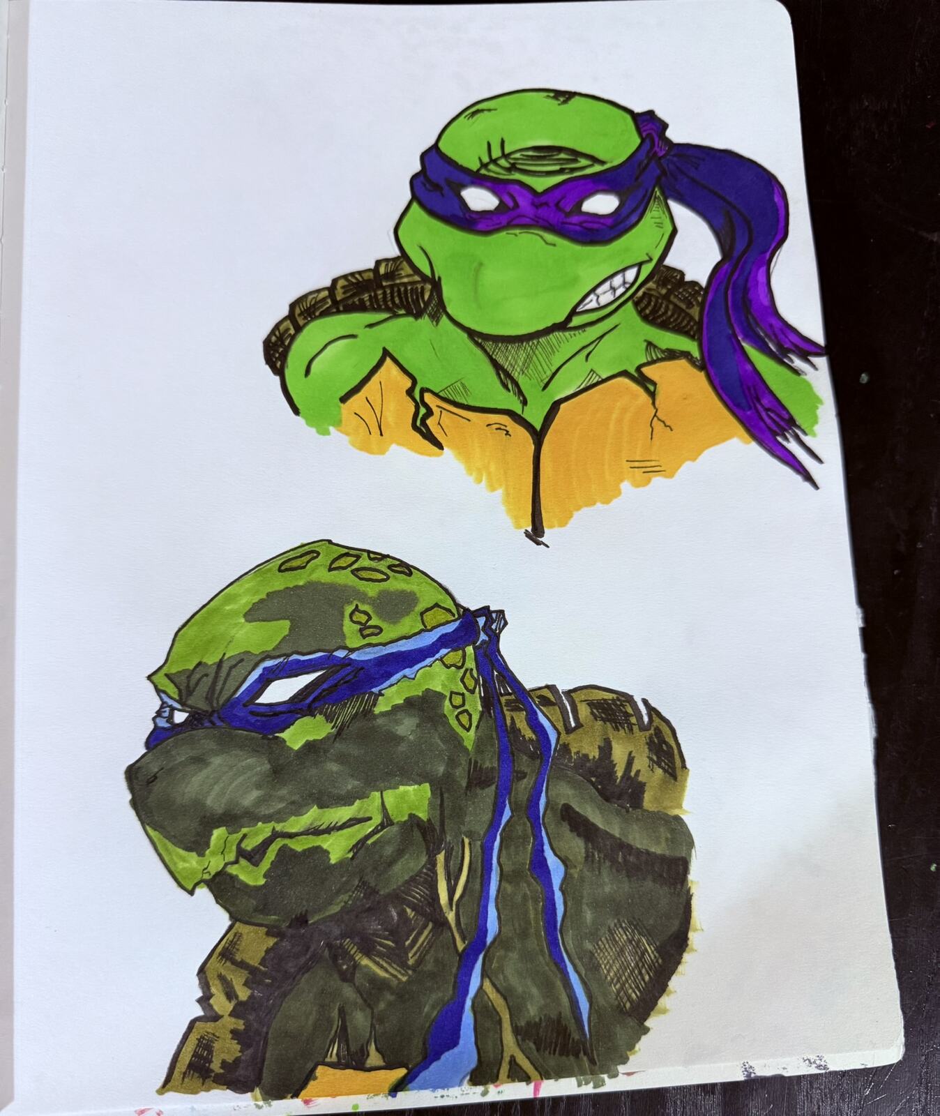 Turtle Warrior Studies by Andrew Tuttle