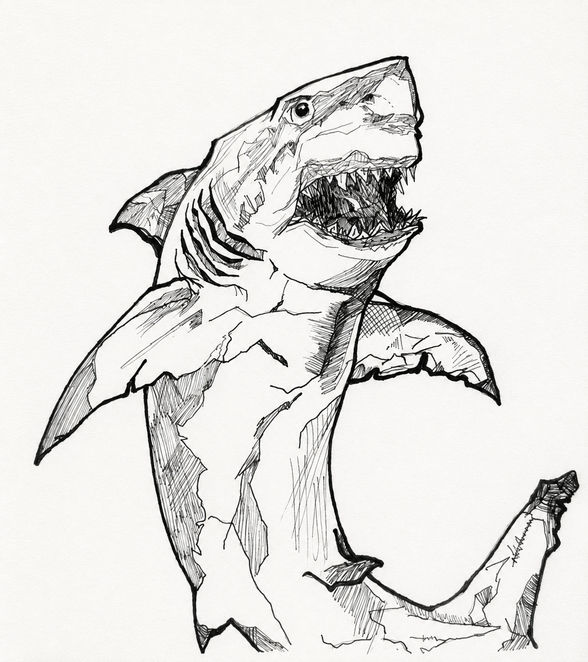 Sketches gallery by Andrew Tuttle