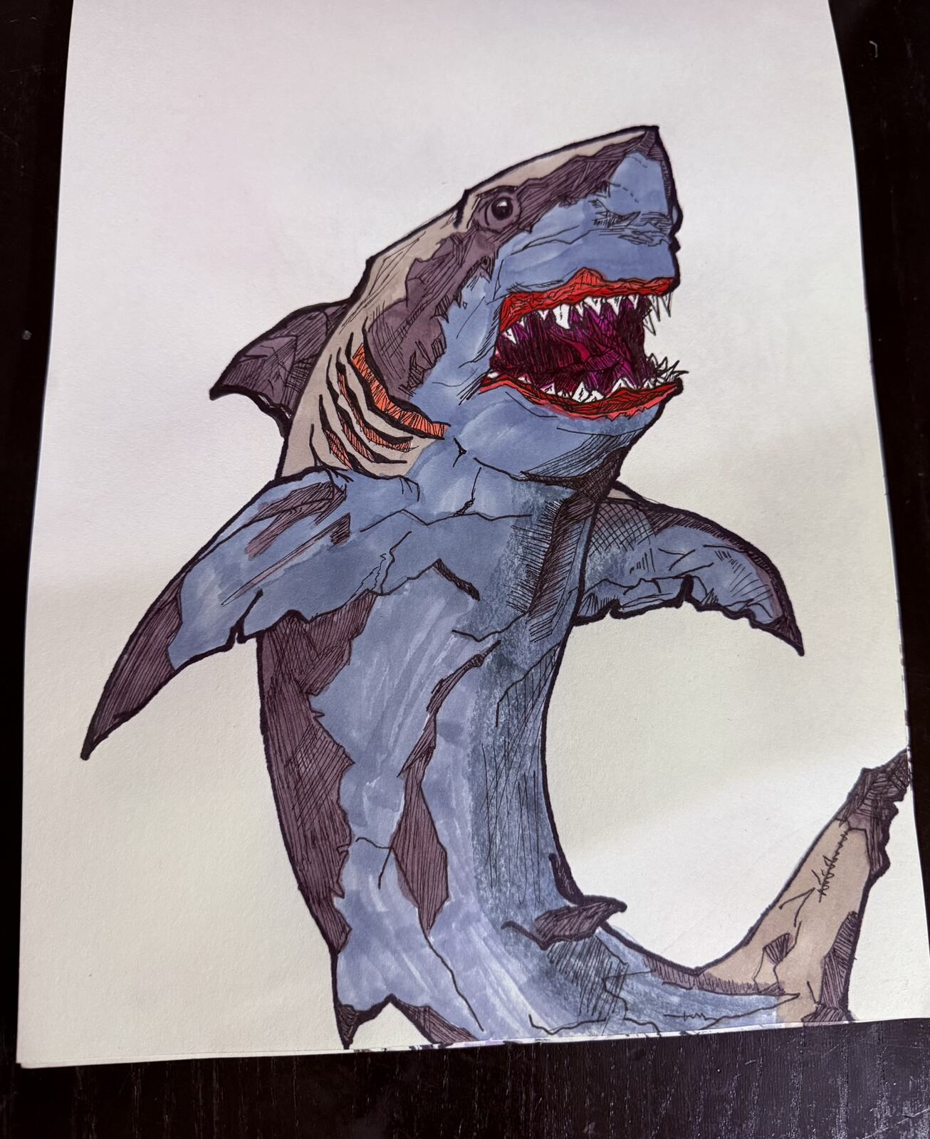 Shark Character Color Study by Andrew Tuttle