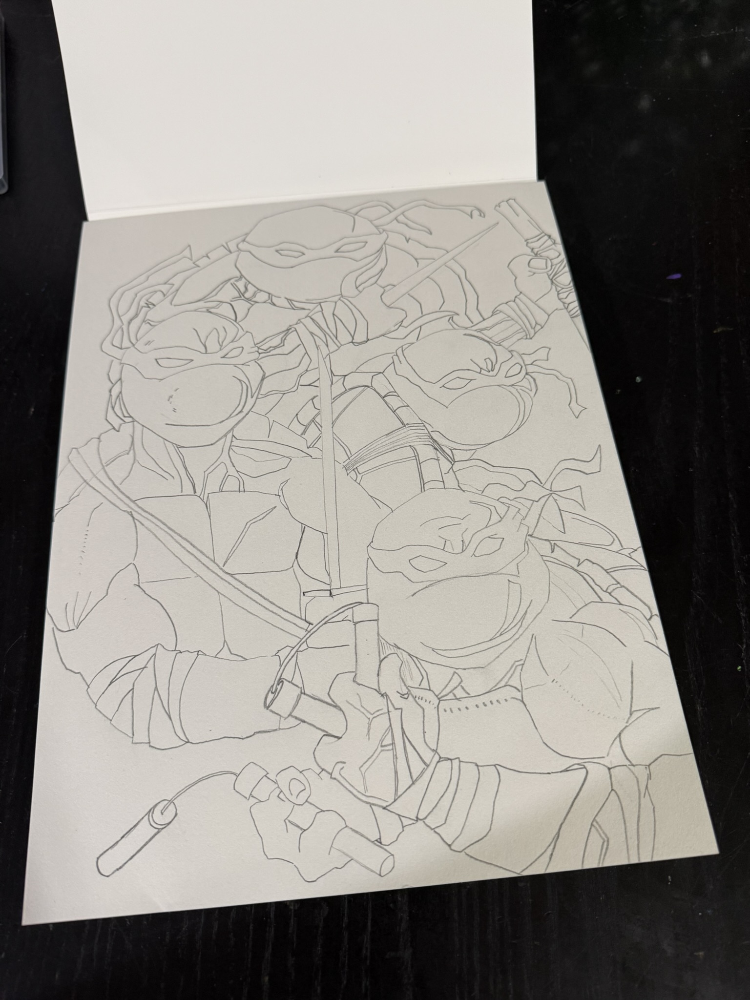 Turtle Team Pencil Study by Andrew Tuttle