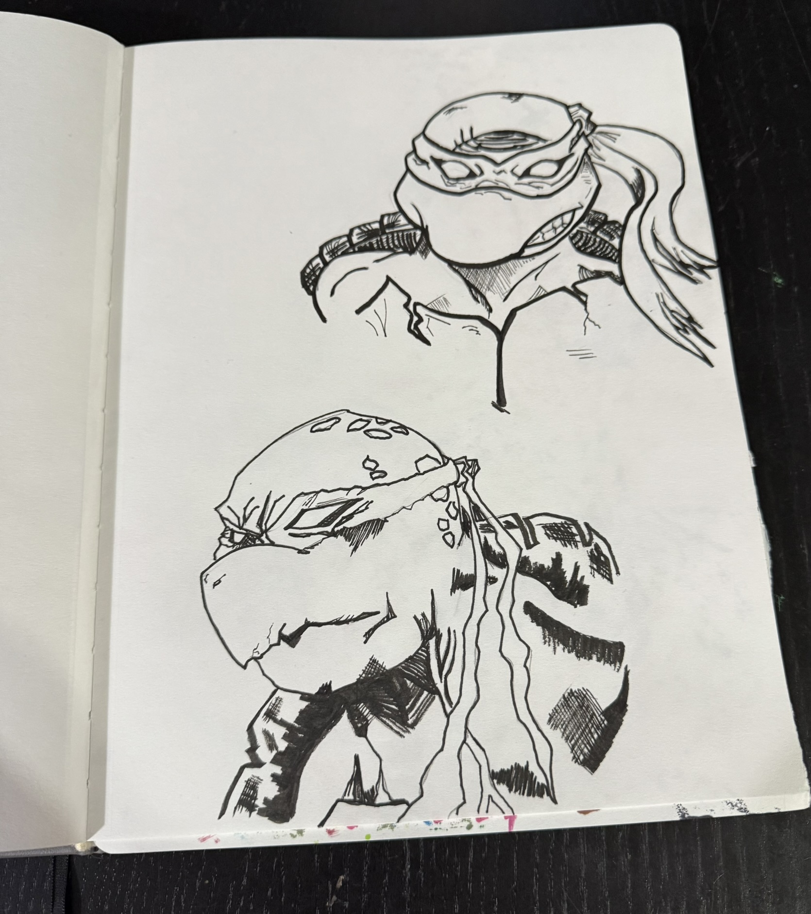 Turtle Character Studies by Andrew Tuttle